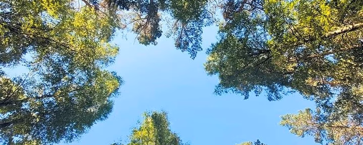 Stiltekamp