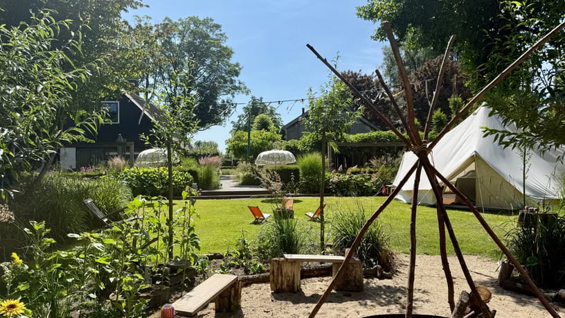 3-daagse begeleide psilocybine-retreat in de natuur (Nederland)