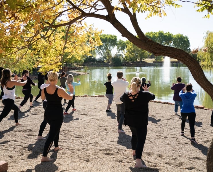 Verkwikkende Detoxretreat
