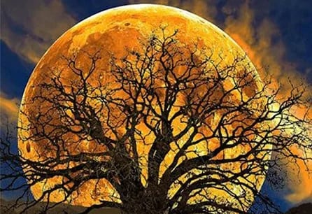 Vollemaan-kijkretraite: het hart opnieuw afstemmen