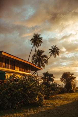 Ayahuasca-workshops