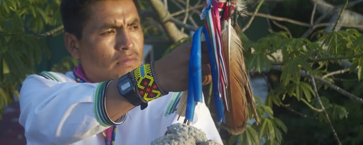 Ayahuasca Zielsreis, 4 dagen
