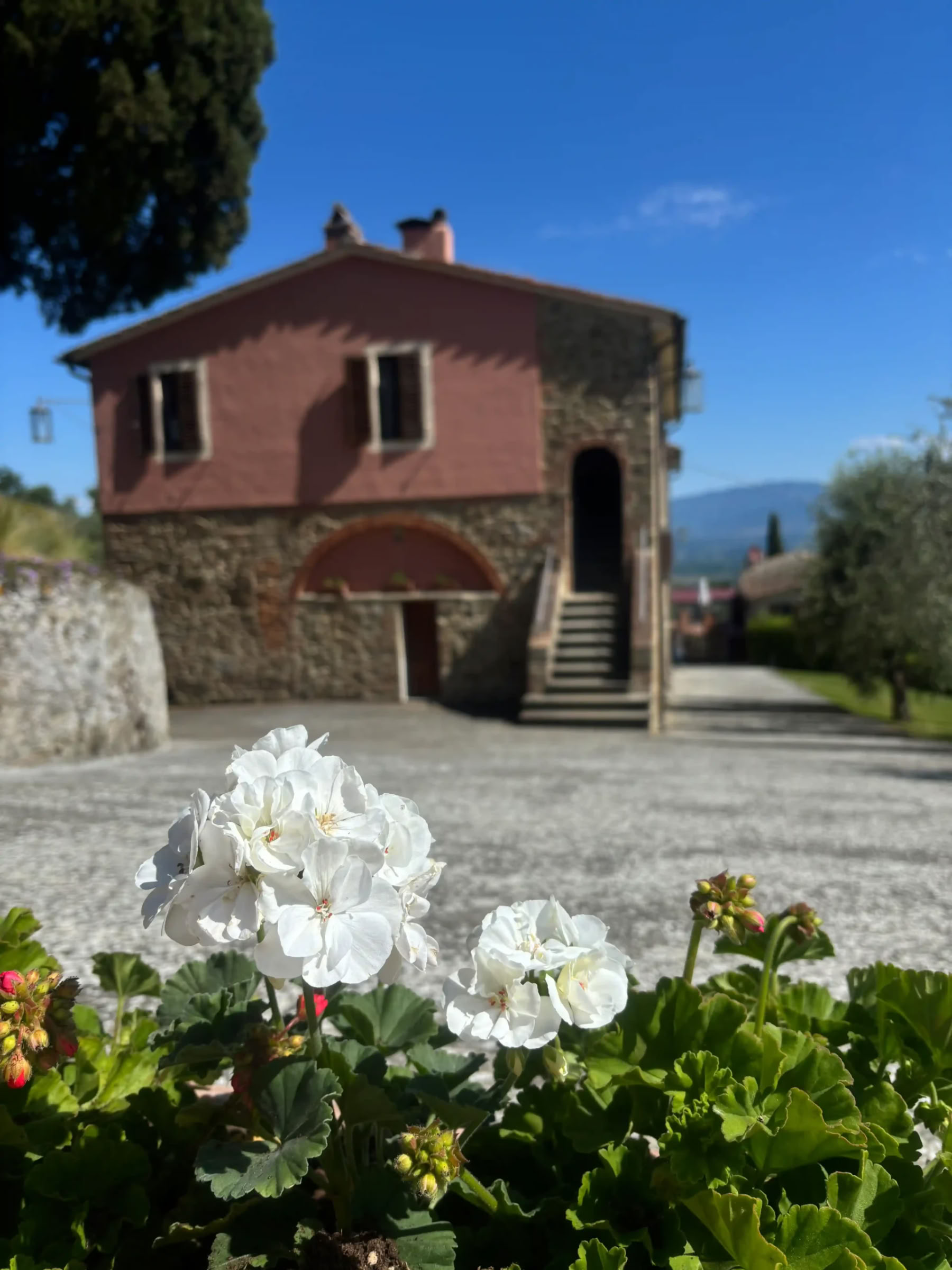 Yoga & Fitness – (flexibele data)
