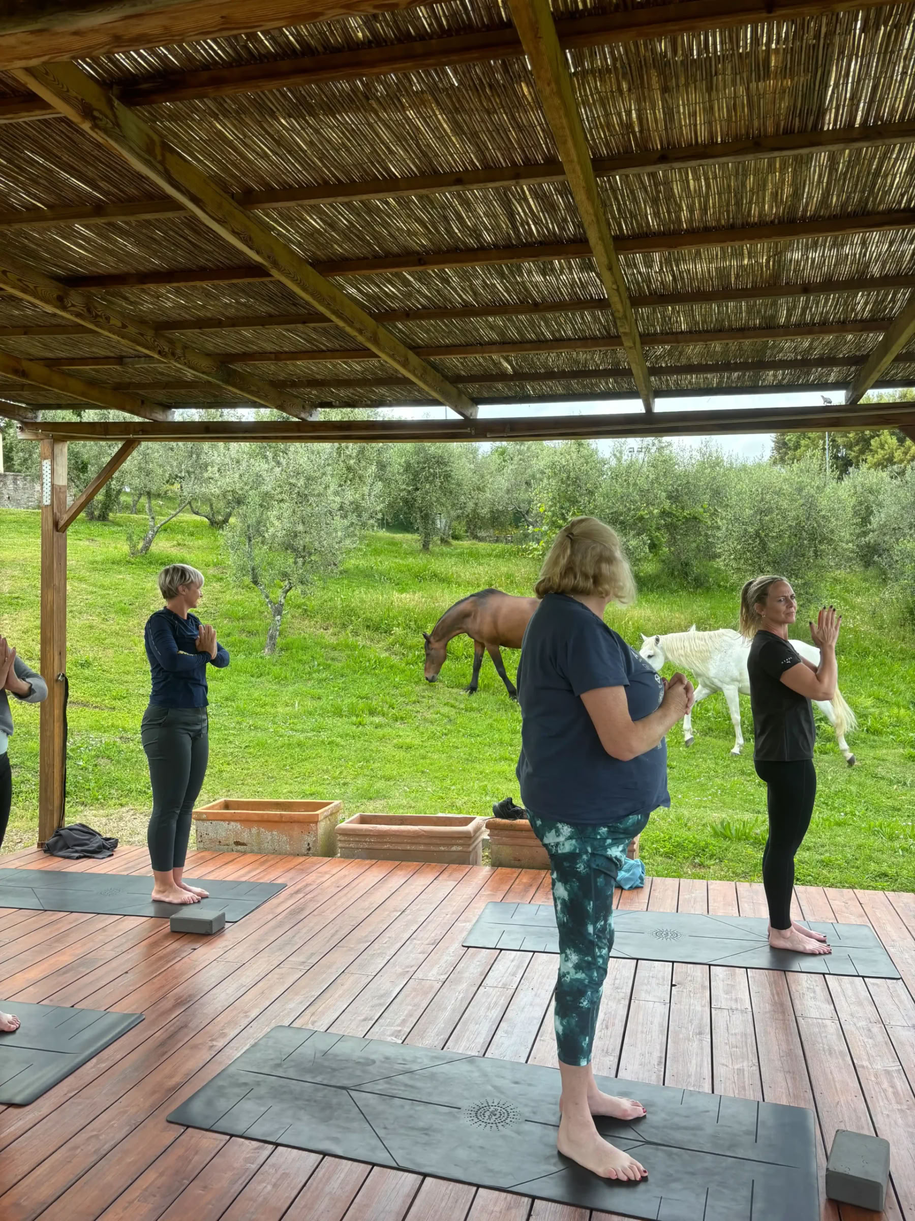 Yoga & Fitness – (4 dagen/3 nachten)