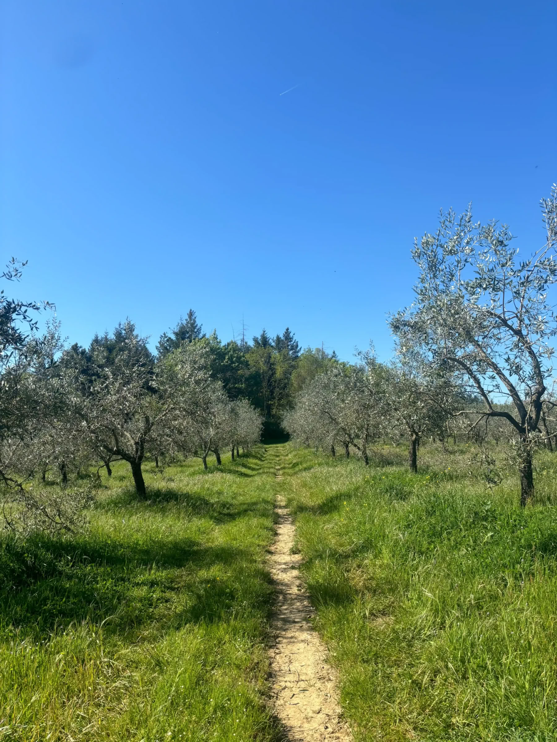 Yoga & Fitness – (4 dagen/3 nachten)