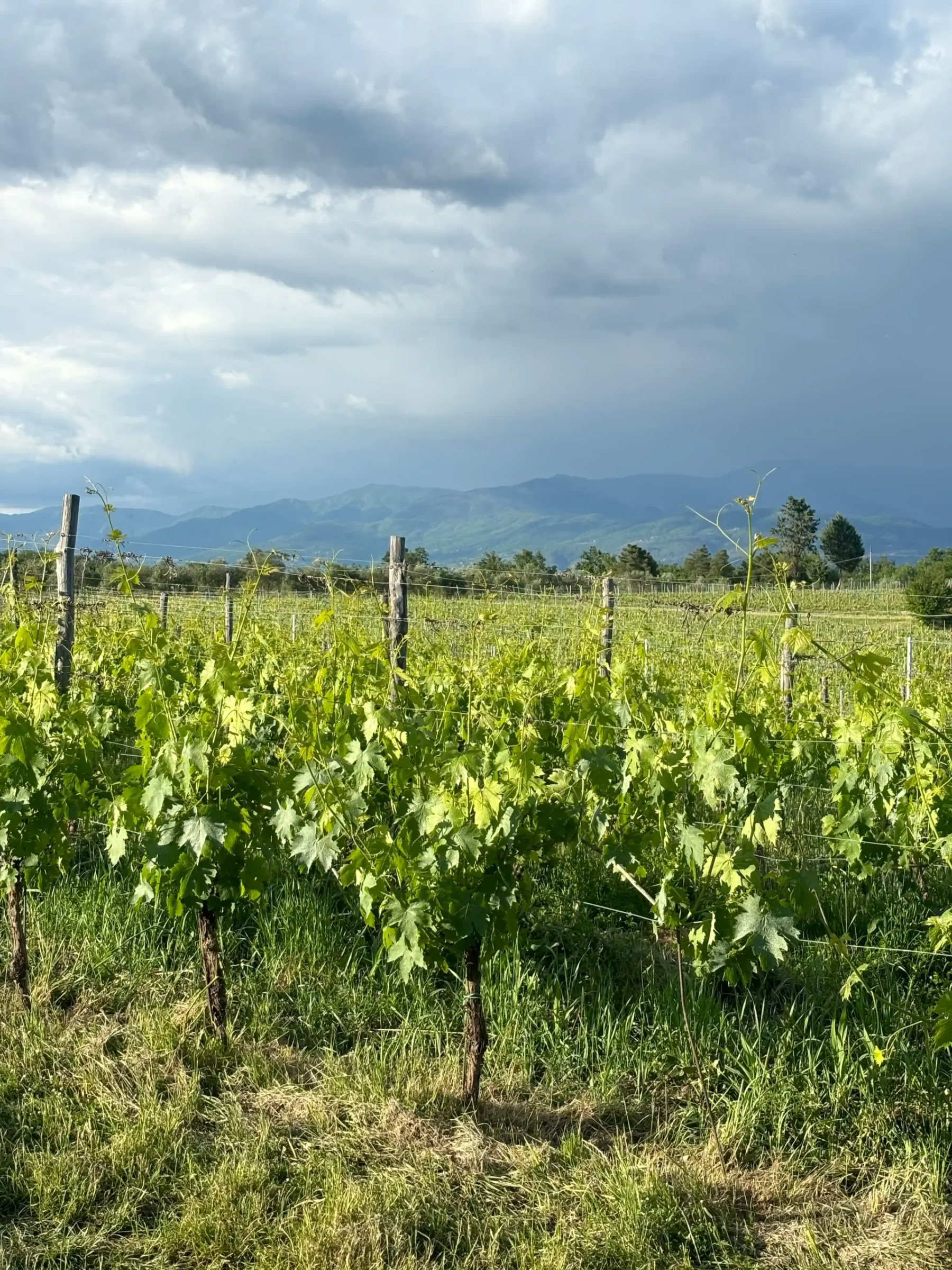 Yoga- en fitnessretreat in Toscane