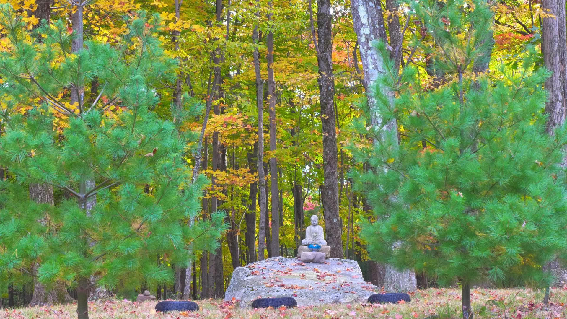 Triratna NY-NJ Sangharetraite