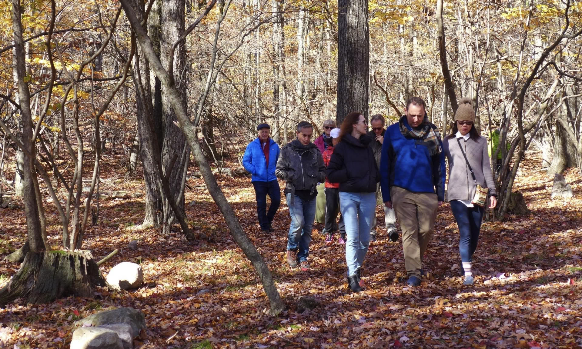 Herfstontwaken Yoga Retreat