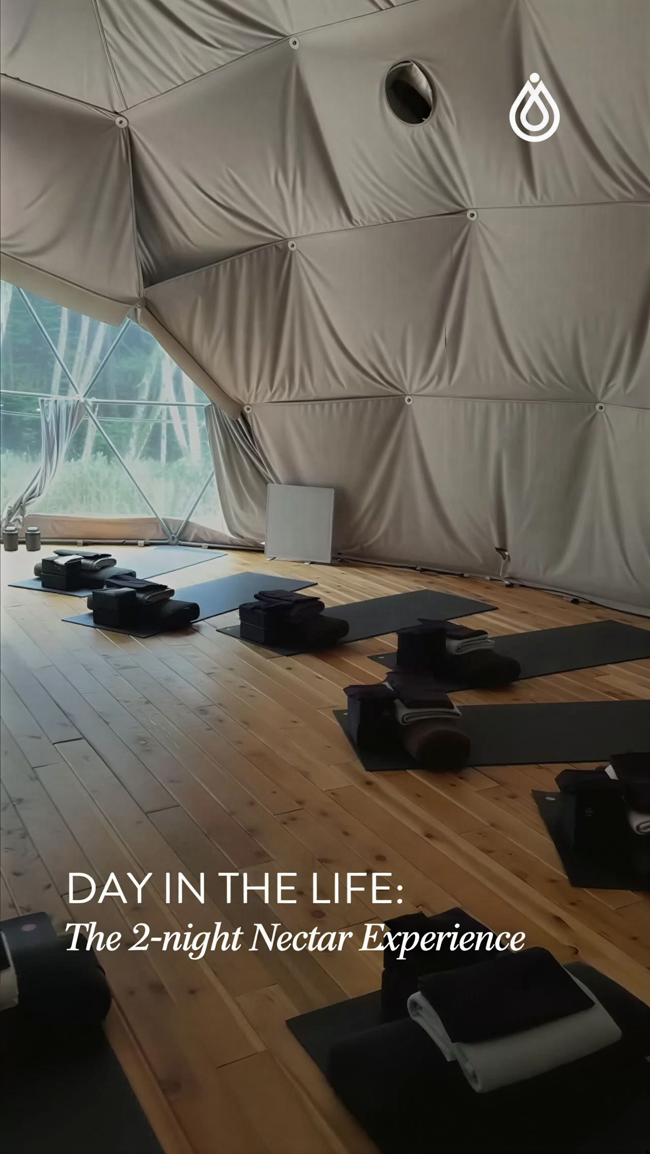 Wortel en Terugkeer, een herstellende oefening om te verbinden en terug te winnen | Nectar Yoga
