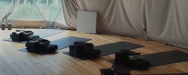 Ashtanga-yogadagintensief: de helende magie van vinyasa