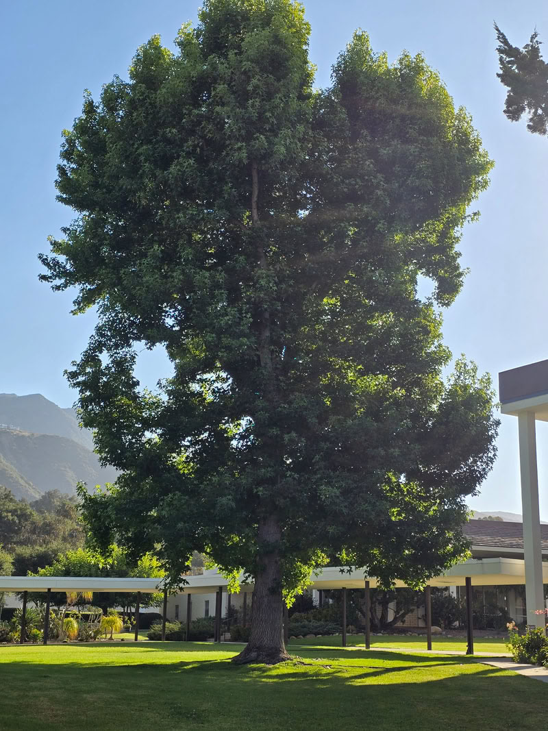 Meditatieretraite in Assisi