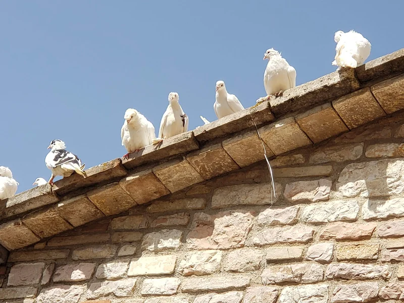 Meditatieretraite in Assisi