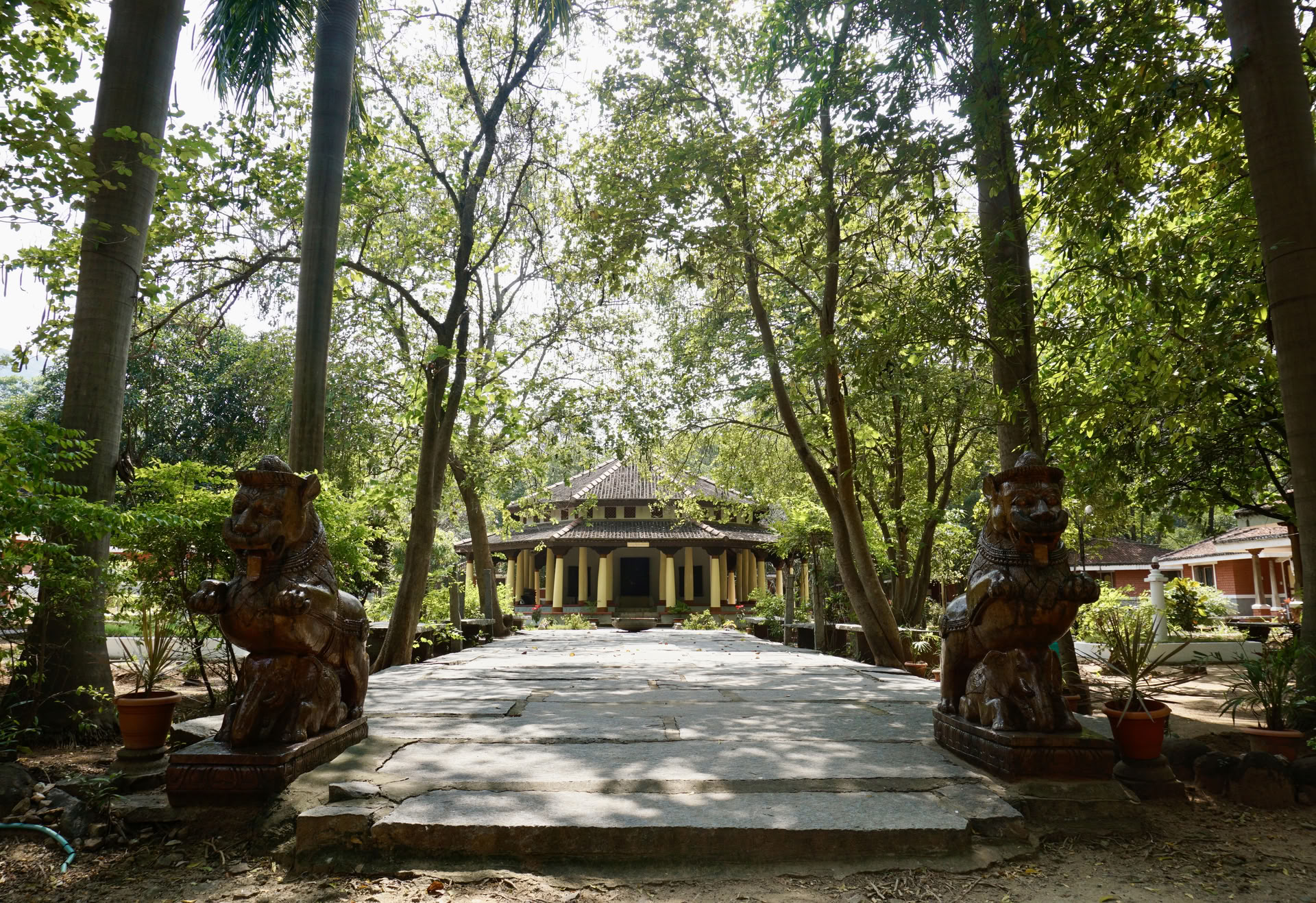 21-daagse stille meditatie-detox ashramretreat in India