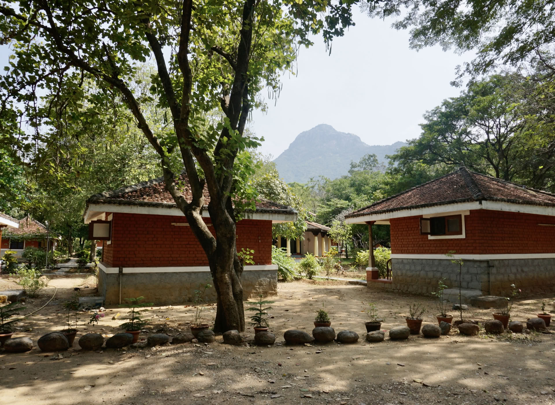 21-daagse stille meditatie-detox ashramretreat in India