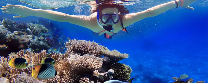 Koraalrifavonturen: Snorkelen in Lovina