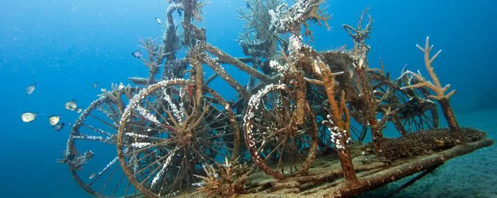 Introductieve duik bij Lovina Reef, 2 duiken