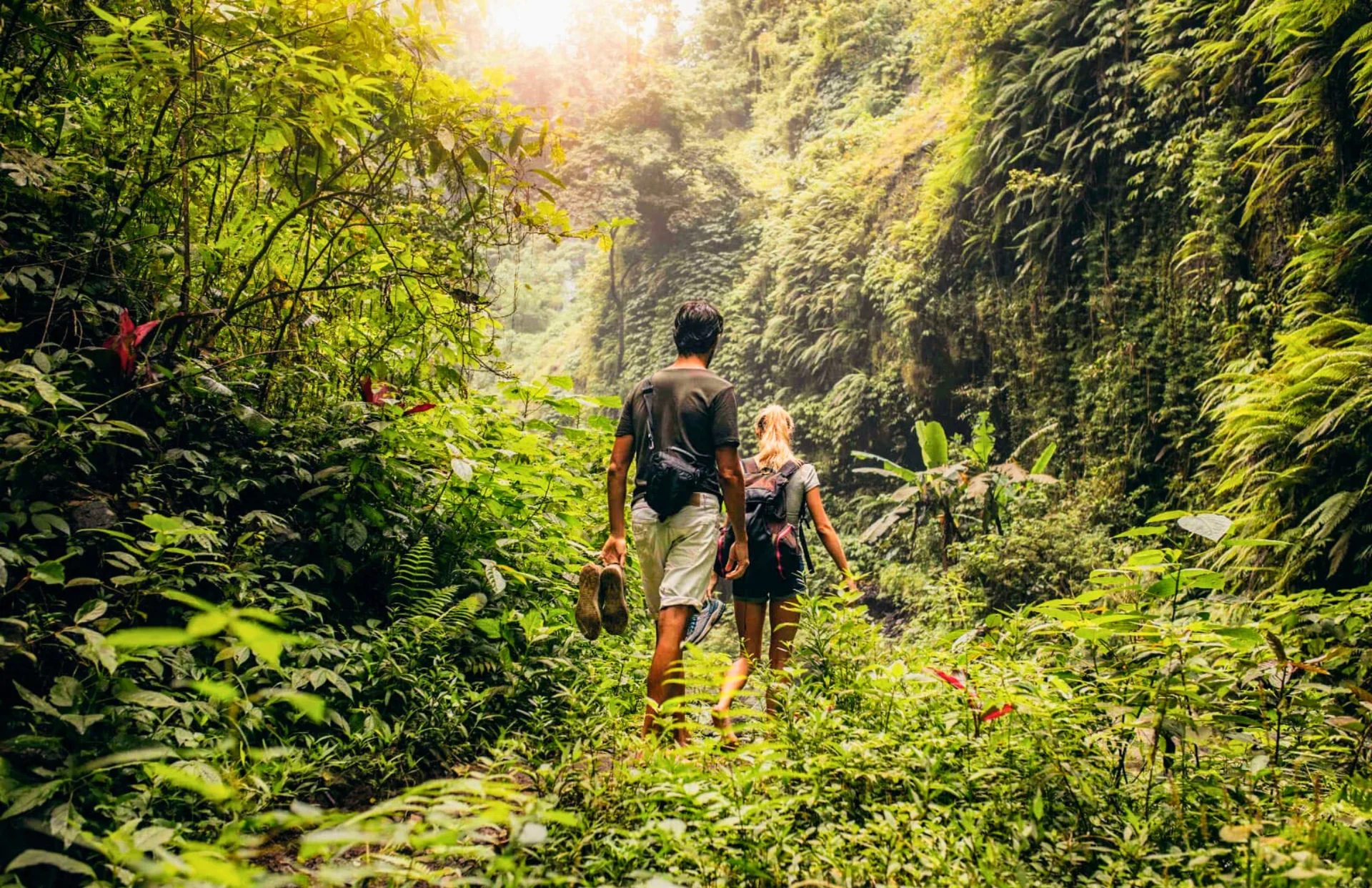 Zen-trekking en ontdekking van watervallen