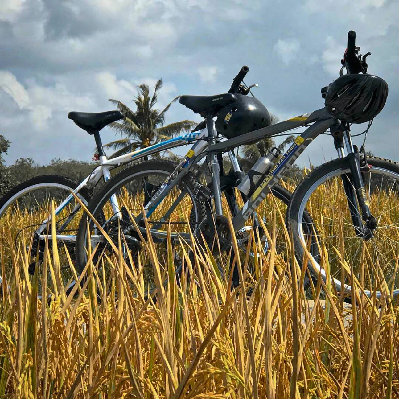 Culturele Fietstocht Ontsnapping