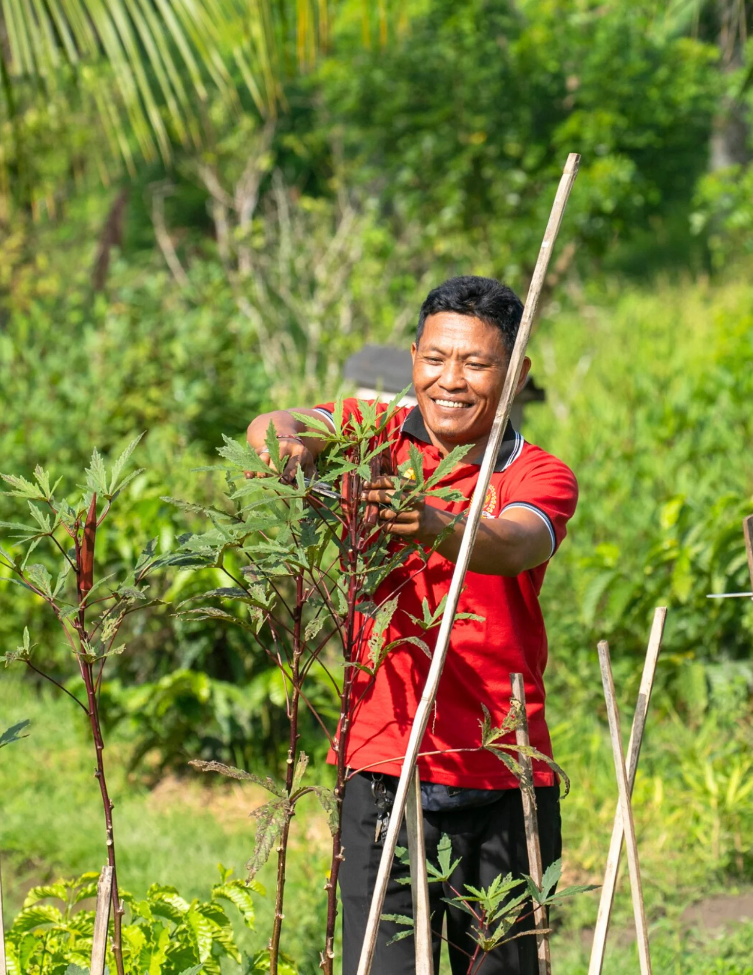 Begawan Farm-to-Table Ervaring