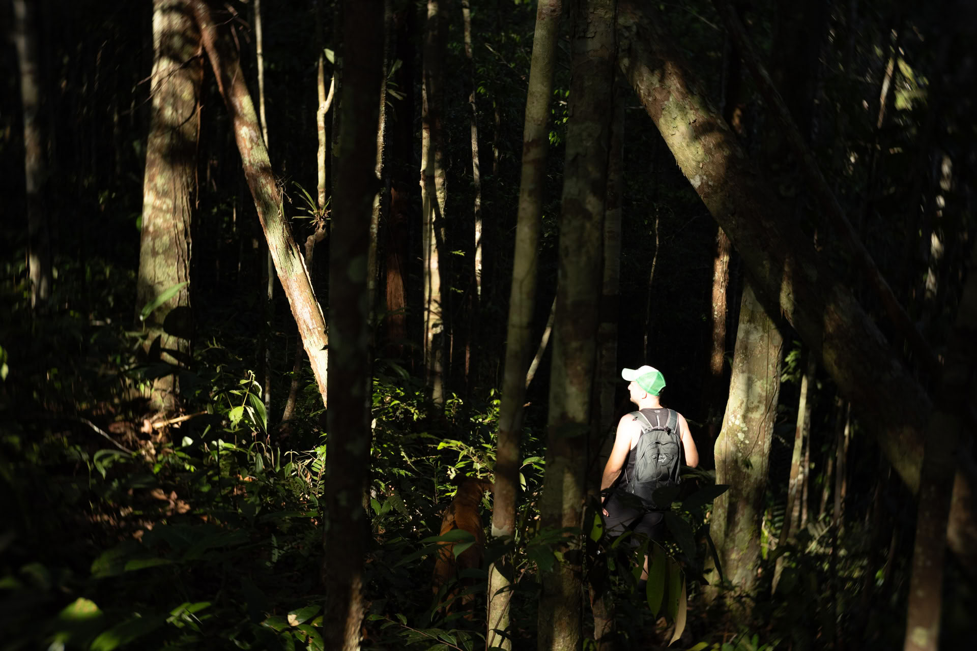 Open ayahuasca-retreat bij Psychonauta Tribe