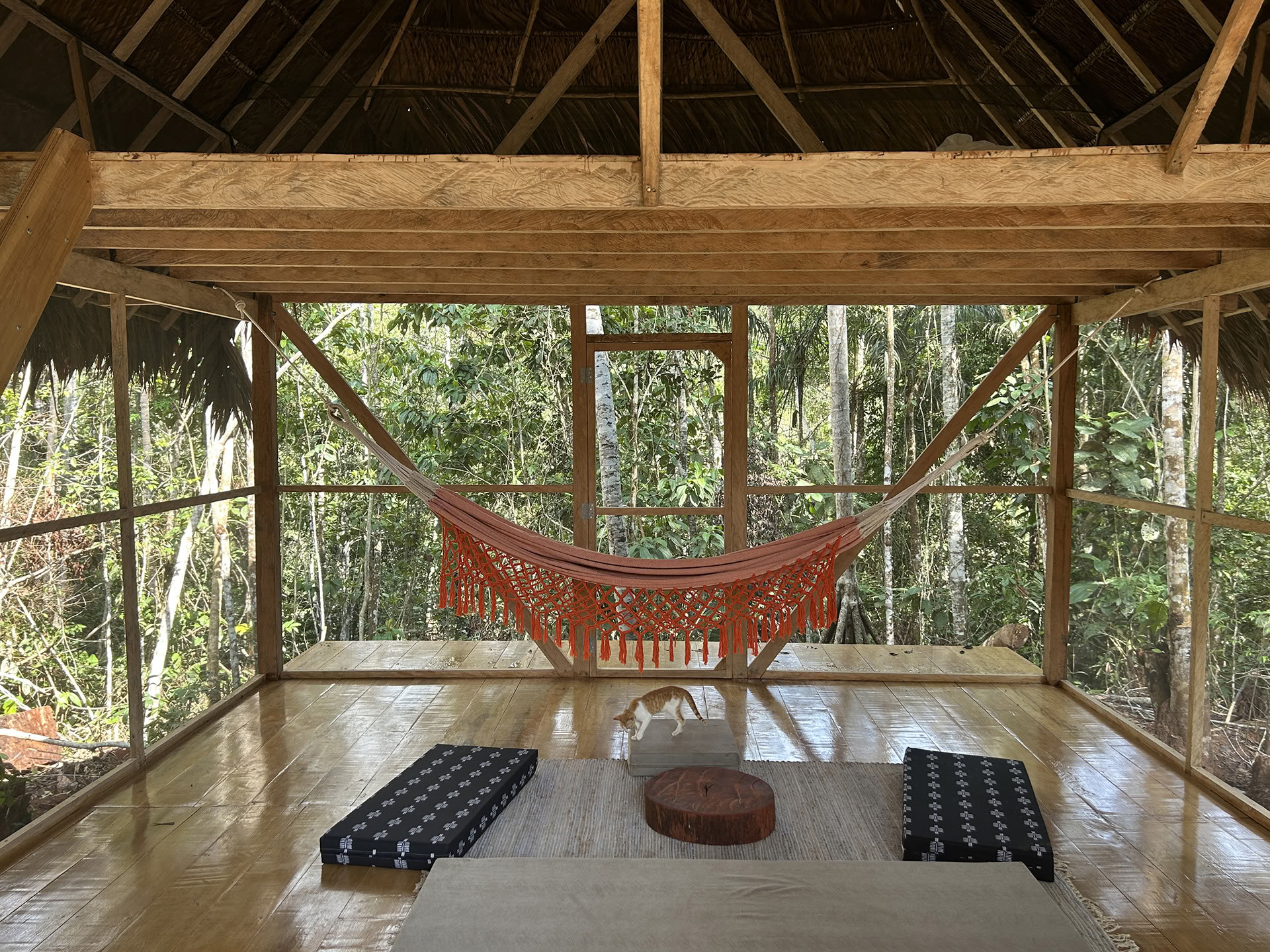 Open Ayahuasca-retreat