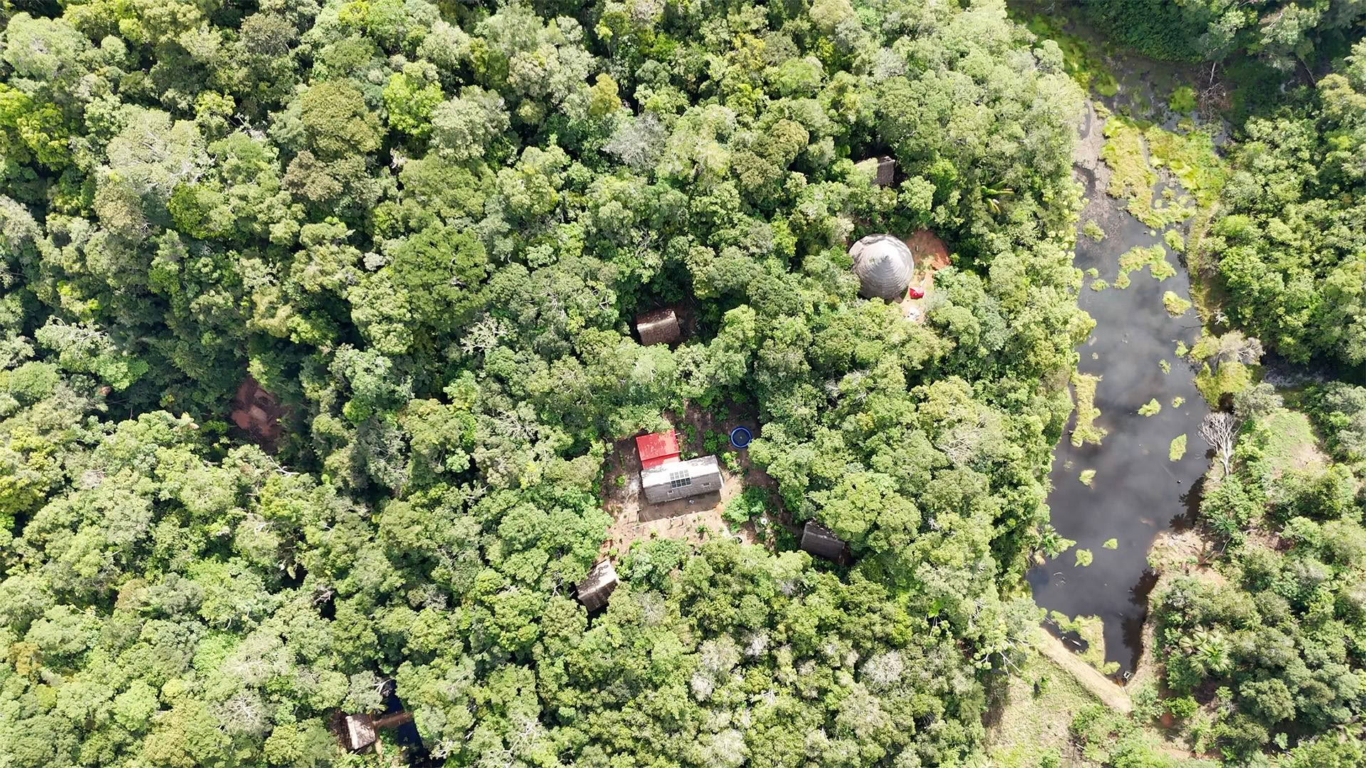 Open Ayahuasca-retreat