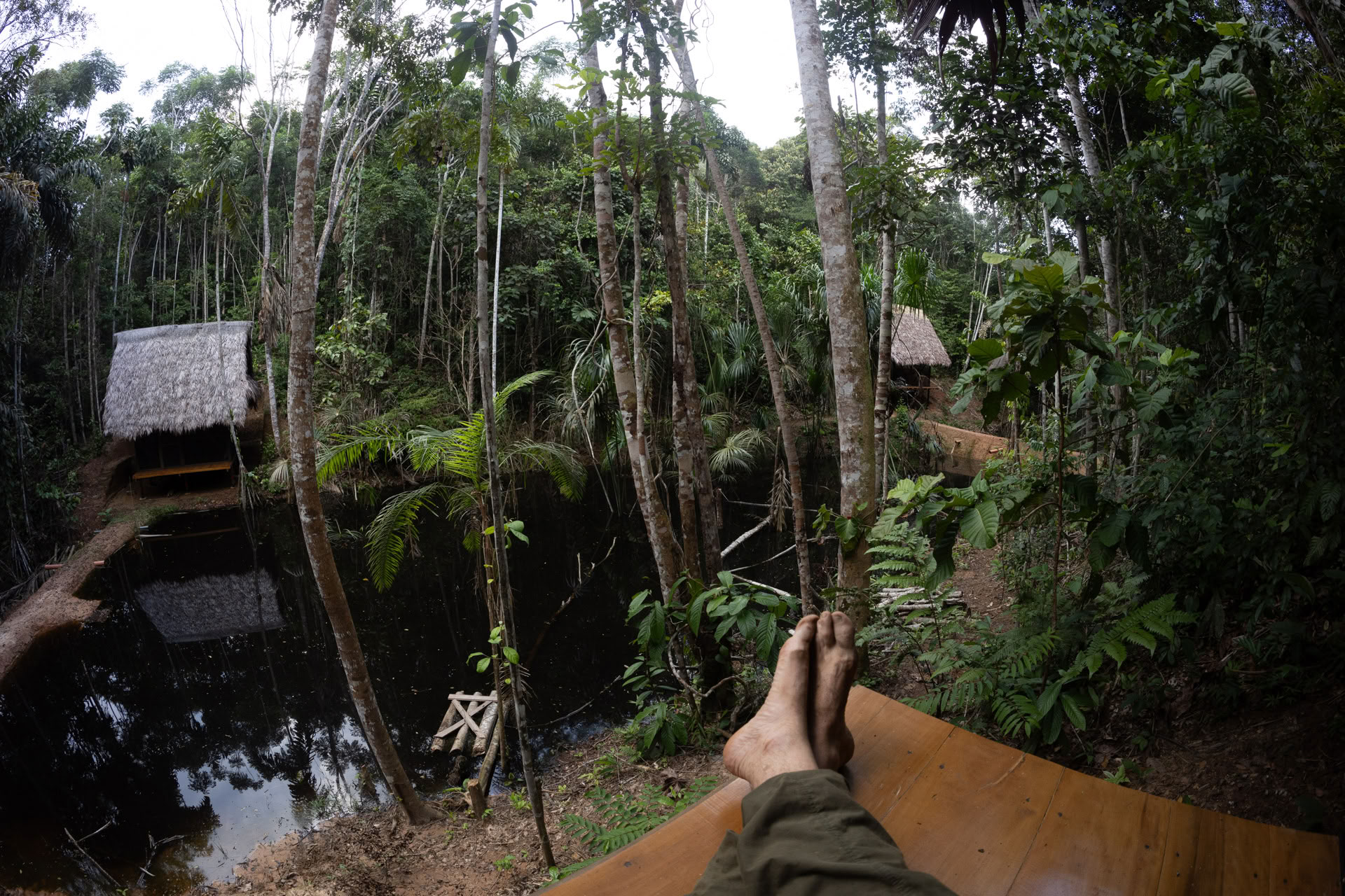 Open Ayahuasca-retreat