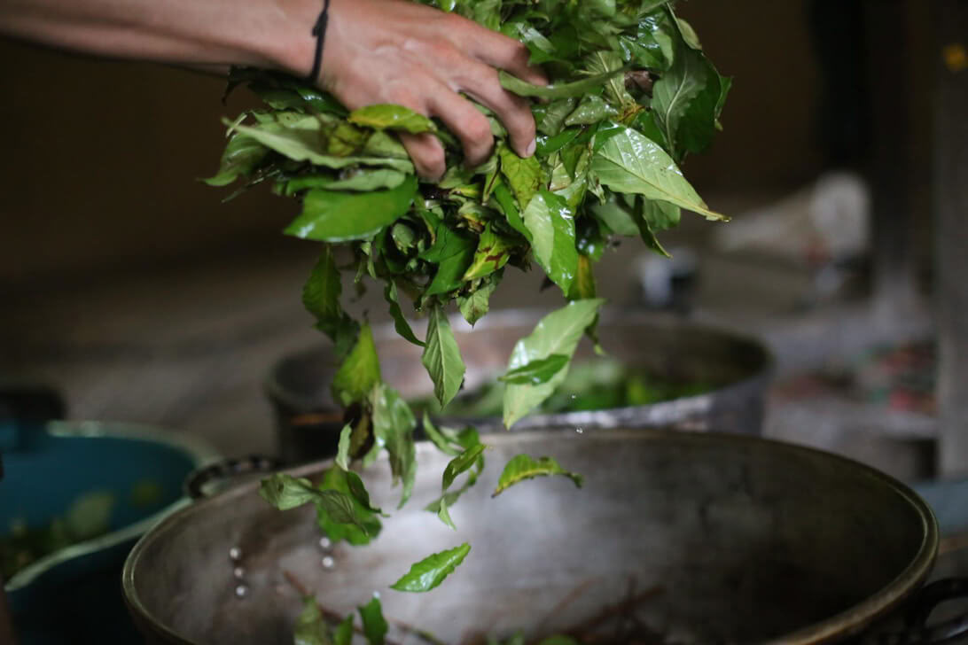 Ayahuasca-retraite & Meesterplantendieet in Peru