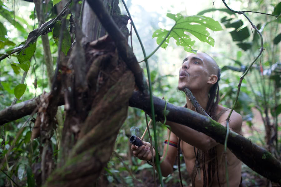 Ayahuasca-retraite & Meesterplantendieet in Peru