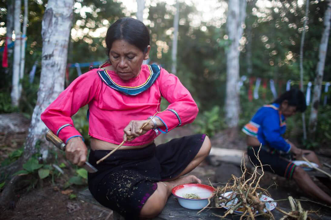 Ayahuasca-retraite & Meesterplantendieet in Peru