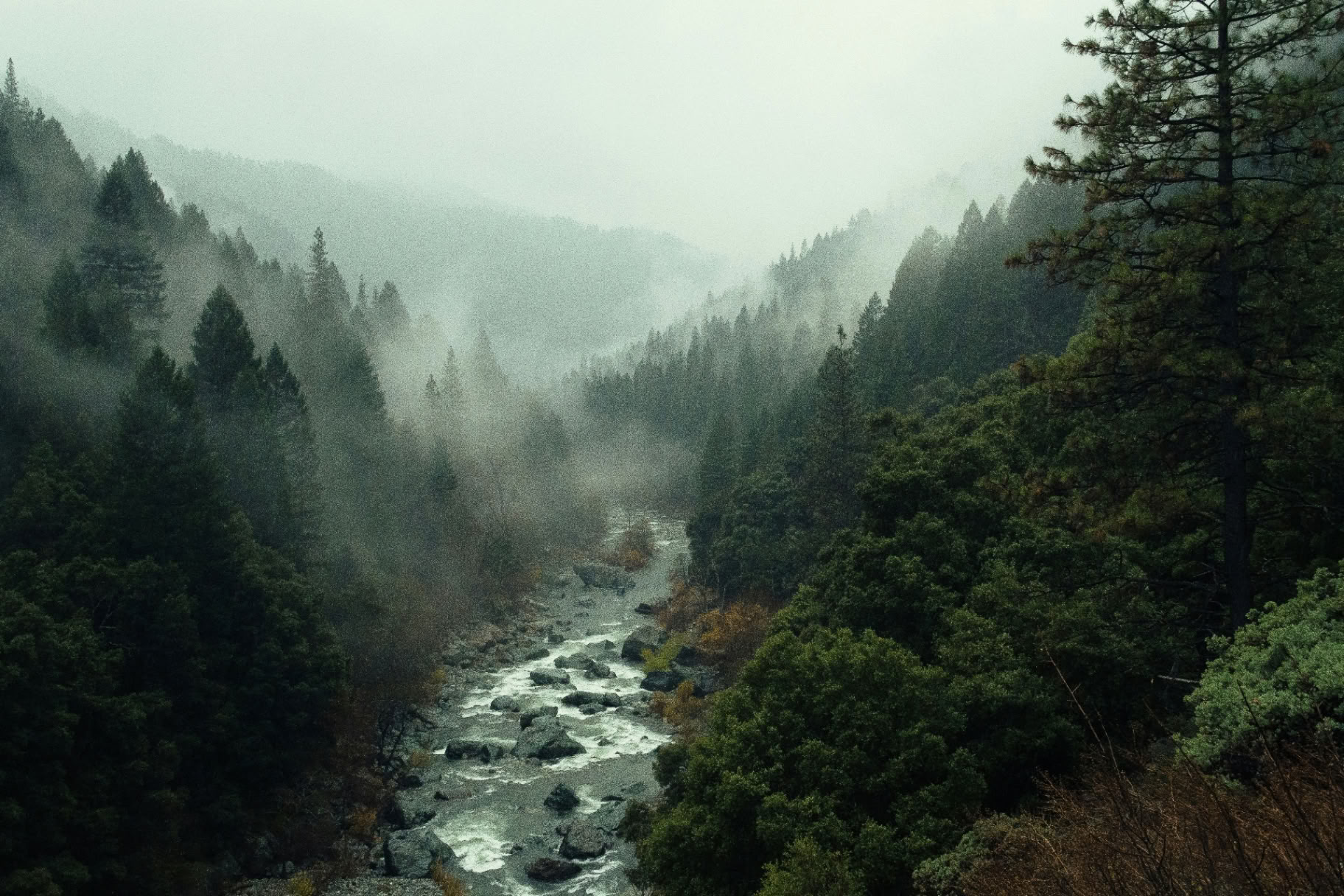 Levende Spiraal van Innerlijke Alchemie – Vuurfase