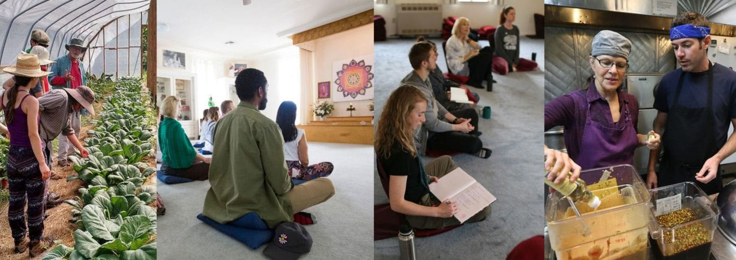 Levende Yoga Opleiding (LYT) – 24 aug - 20 sep
