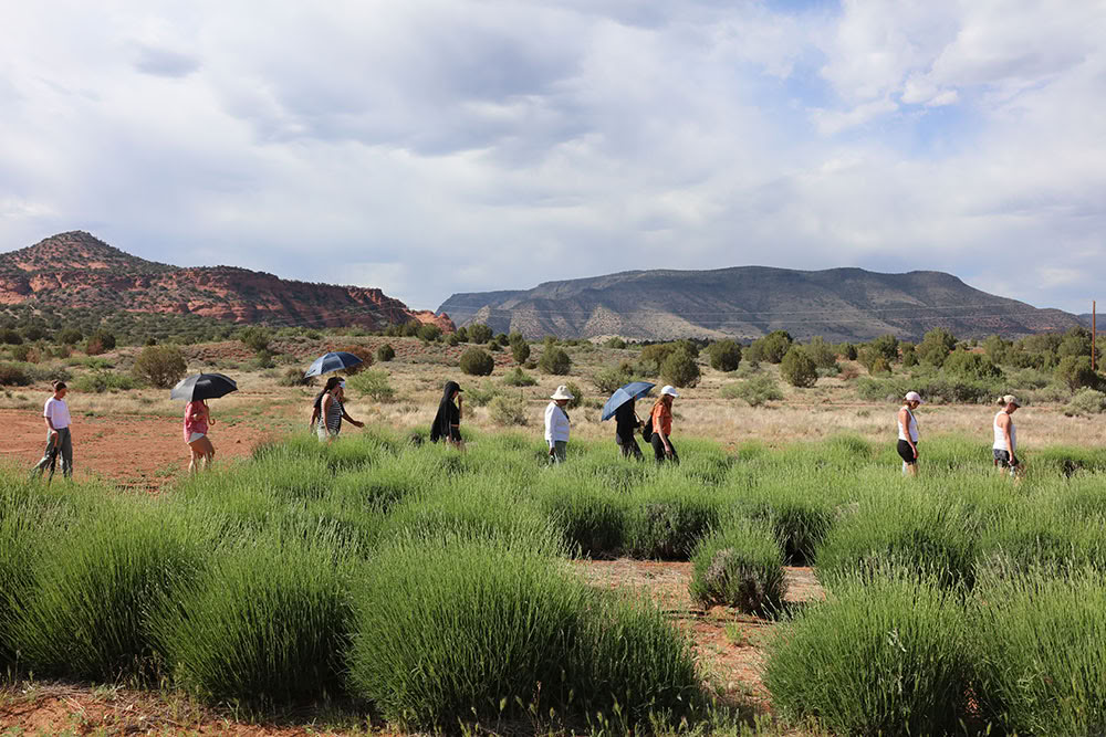 Sedona Vortex Healing Retraite