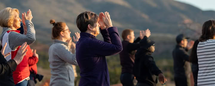 Geavanceerde cursus natuurlijke heling van Tao
