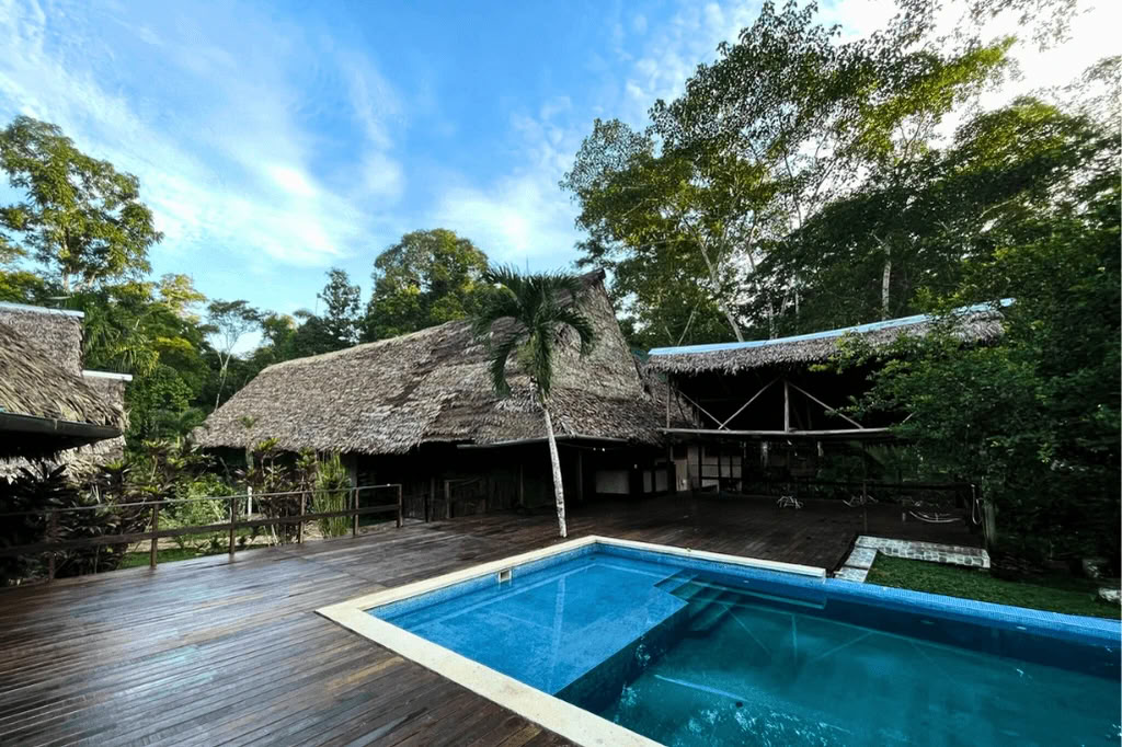 Amazone - Blue Morpho Lodge 3 ayahuasca & 1 San Pedro