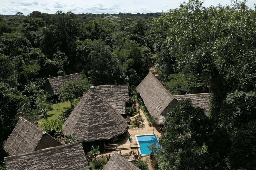 Amazone - Blue Morpho Lodge 3 ayahuasca & 1 San Pedro