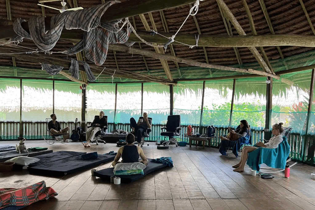 Amazone - Blue Morpho Lodge 3 ayahuasca & 1 San Pedro