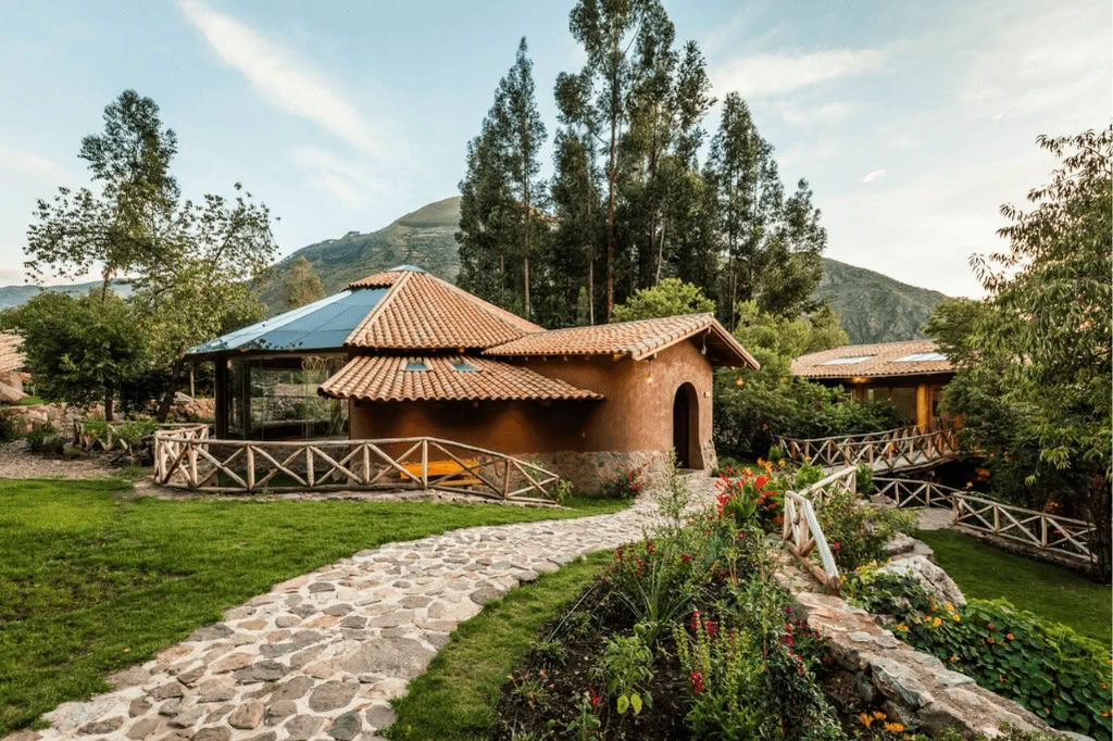 Amazone - Blue Morpho Lodge 3 ayahuasca & 1 San Pedro