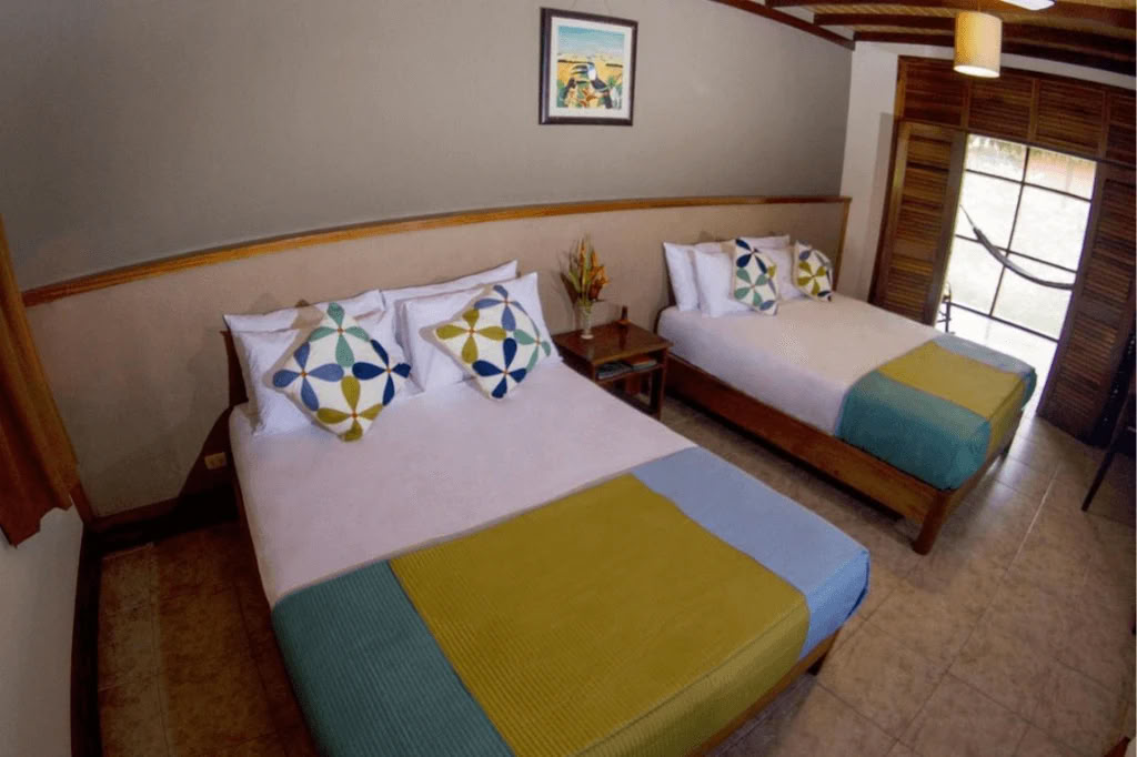 Amazone - Blue Morpho Lodge 3 ayahuasca & 1 San Pedro