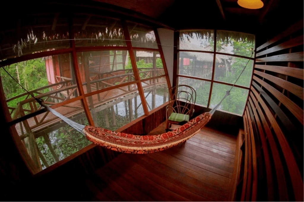 Amazone - Blue Morpho Lodge 3 ayahuasca & 1 San Pedro