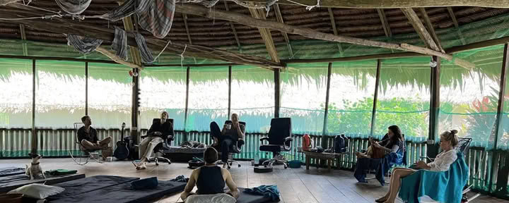 Amazone - Blue Morpho Lodge 3 ayahuasca & 1 San Pedro