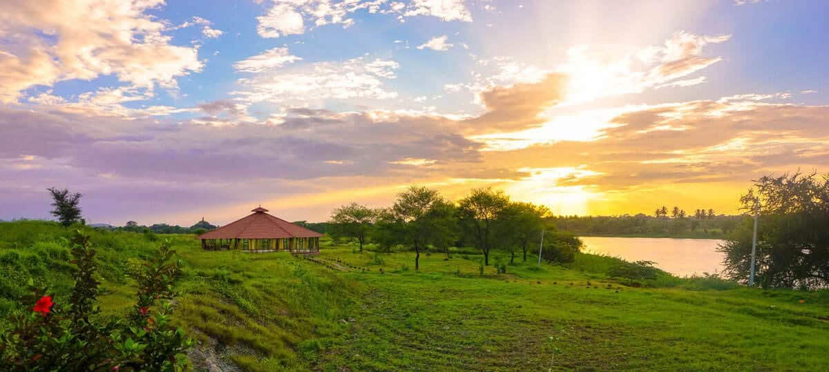 200 uur yogadocentenopleiding in India – 1 t/m 29 september 2026