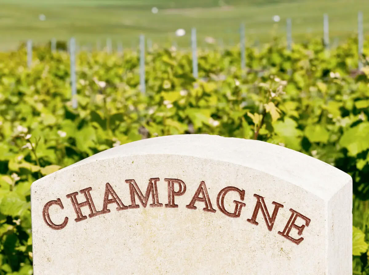 Champagne & Soul: Yoga- en Champagne-retraite voor Vrouwen (Reims, Frankrijk)