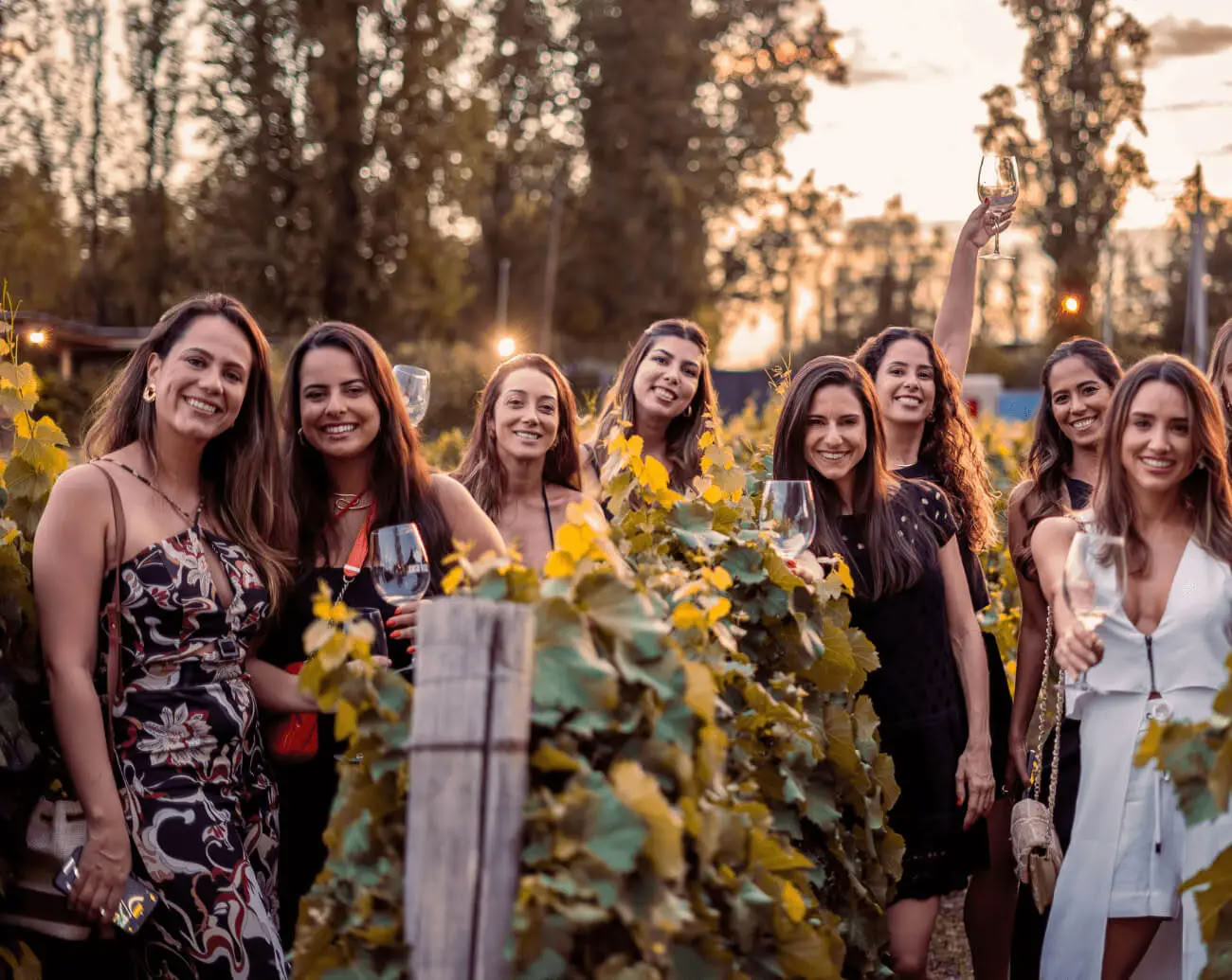 Champagne & Soul: Yoga- en Champagne-retraite voor Vrouwen (Reims, Frankrijk)