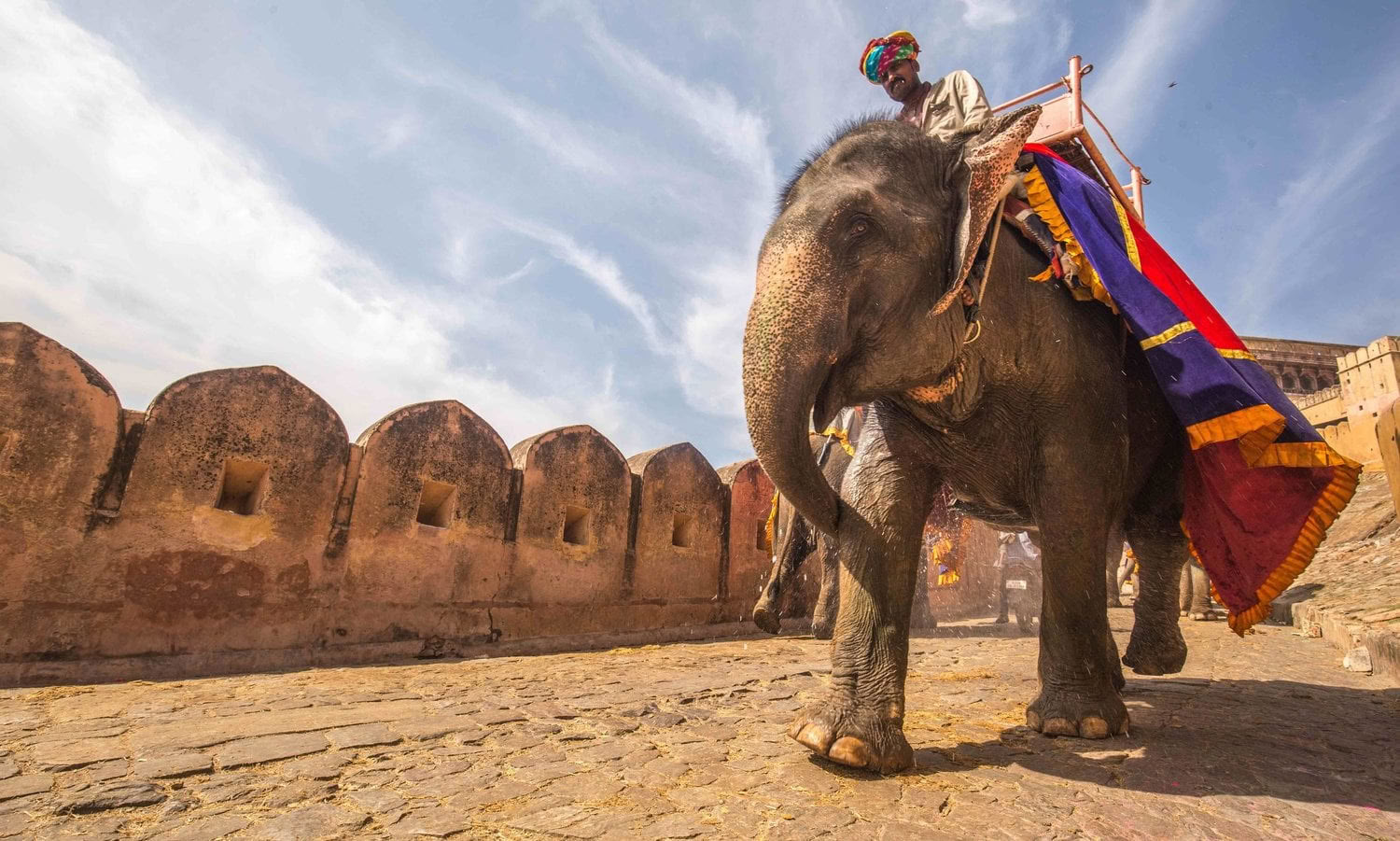 Spirit van de Himalaya'-tour + Holi-festival in India