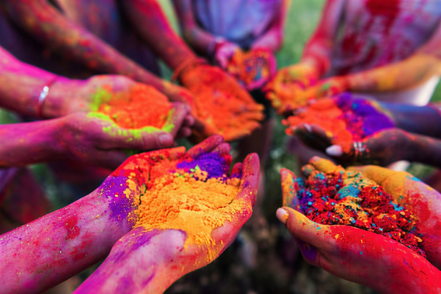 Spirit van de Himalaya'-tour + Holi-festival in India