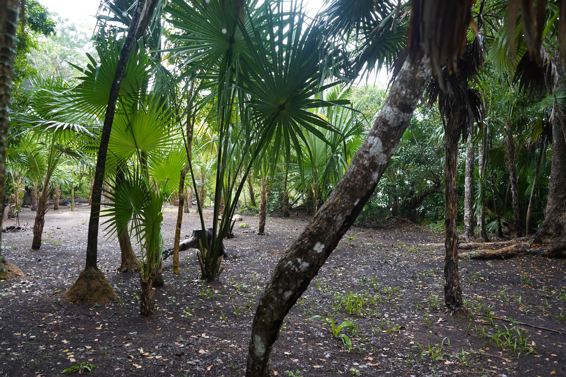 Integratietour naar een privé-cenote