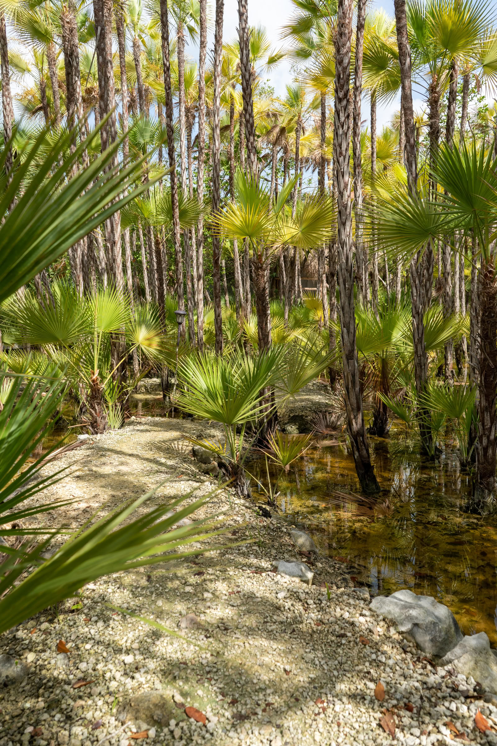 Integratietour naar een privé-cenote