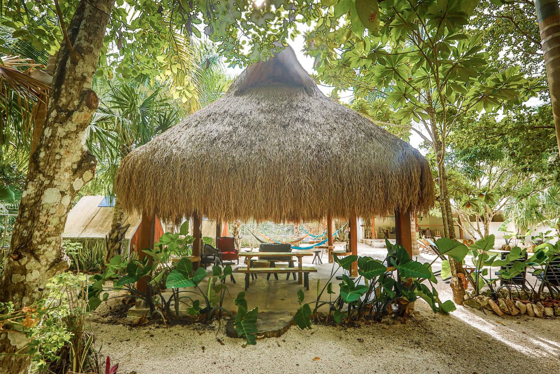 Bufo Lagoon-pakket (2 nachten, Bacalar)