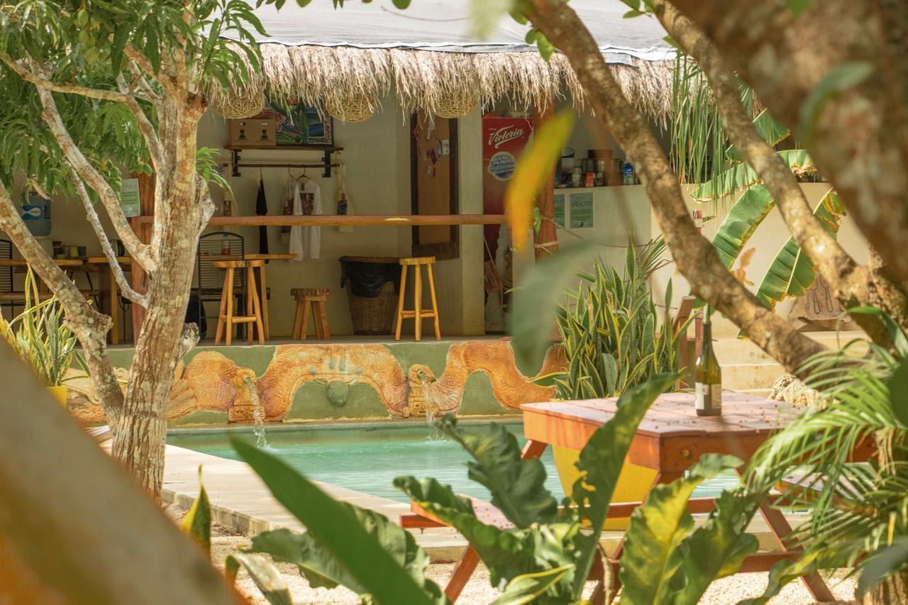 Bufo Lagoon-pakket (2 nachten, Bacalar)